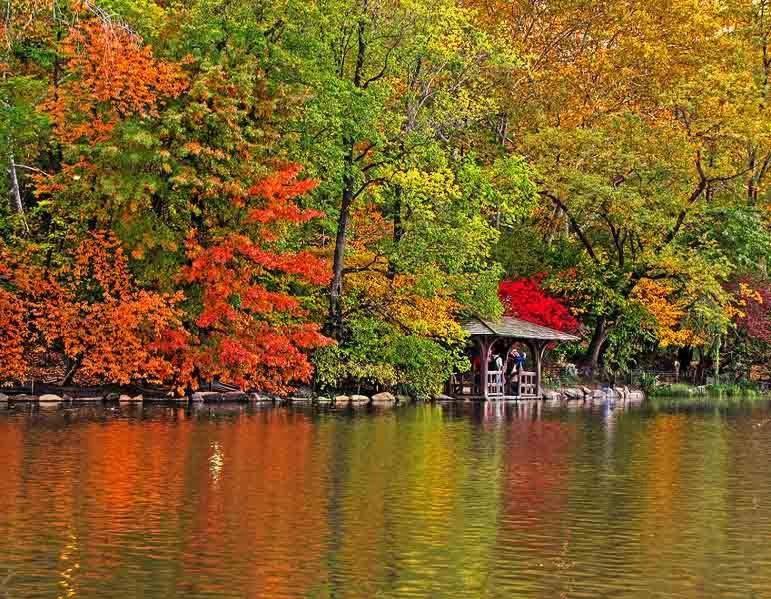 Central Park Букурещ Стая снимка