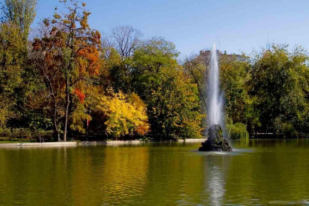 Central Park Букурещ Стая снимка